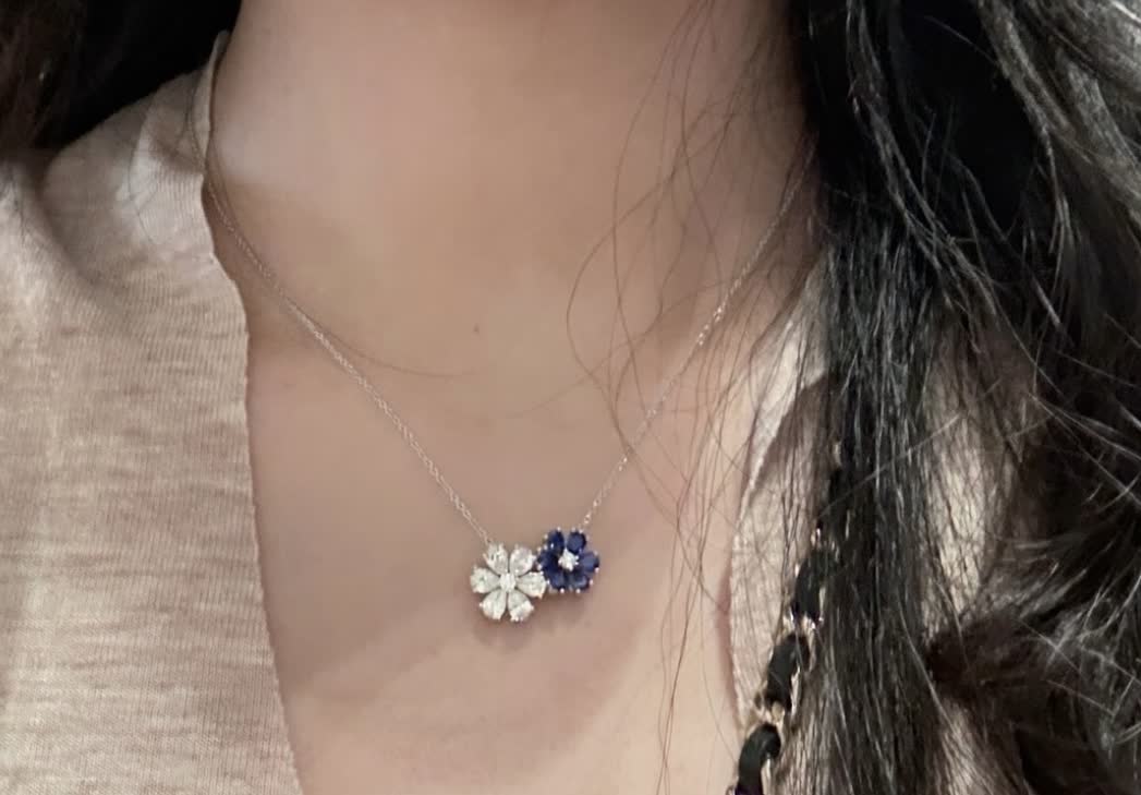 Harry Winston Elegant Blue and White Diamond Flower Necklace